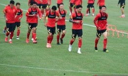 卡塔尔足球最新爆料消息,最新爆料揭秘神秘内幕